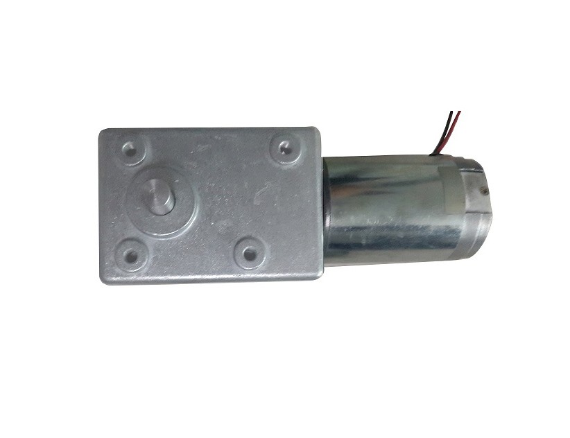 DC Worm Motor.jpg